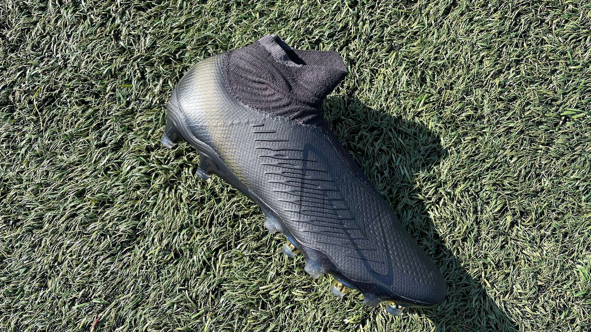 足的发展 足的发展